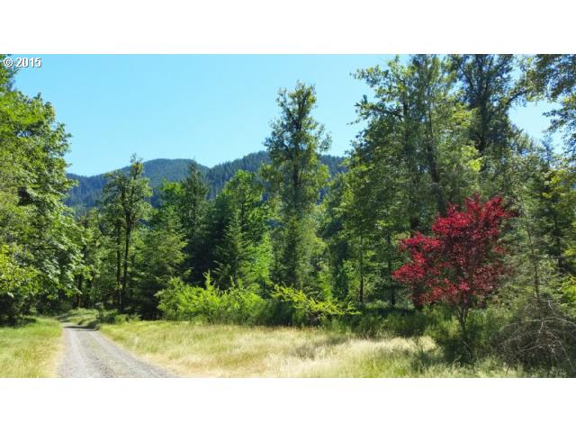 0 E Metsger Island DR Mt Hood  - Liz Warren Mt. Hood Real Estate