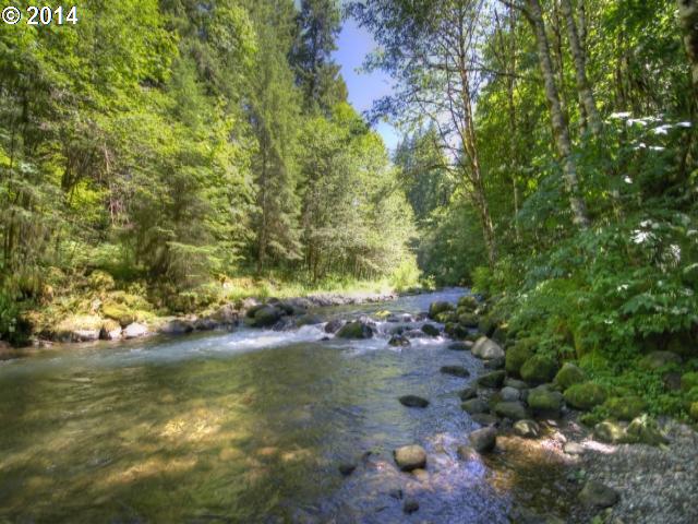 Mt Hood Oregon Mt Hood Leased Land Cabins For Sale Liz Warren