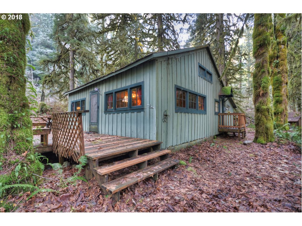 27103 E ROAD 12A LOT 4 Mt Hood  - Liz Warren Mt. Hood Real Estate