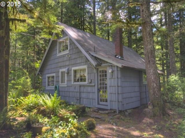 75101 E HWY 26 Lot12 Mt Hood  - Liz Warren Mt. Hood Real Estate