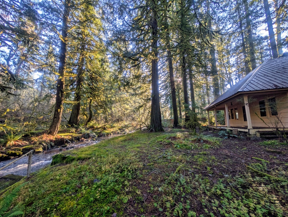 Henry Creek Fixer Upper on Mt. Hood